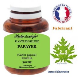 Plante en gélule - Papayer (carica papaya) feuille (310 mg) - pot 120 gélules - Herbo-phyto® - Herboristerie Bardou™