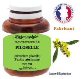 Plante en gélule - Piloselle (hieracium pilosella) partie aérienne (230 mg) - pot 120 gélules - Herbo-phyto® - Herboristerie Bardou™