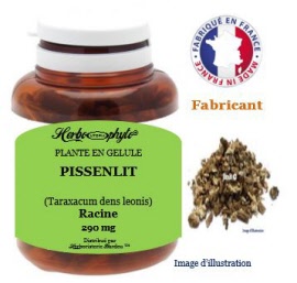 Plante en gélule - Pissenlit (taraxacum dens leonis) racine (290 mg) - pot 120 gélules - Herbo-phyto® - Herboristerie Bardou™