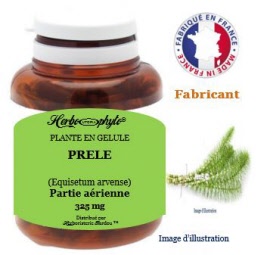 Plante en gélule - Prêle (equisetum arvense) partie aérienne (325 mg) - pot 60 gélules - Herbo-phyto® - Herboristerie Bardou™