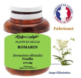 Plante en gélule - Romarin (rosmarinus officinalis) feuille (300 mg) - pot 60 gélules - Herbo-phyto® - Herboristerie Bardou™