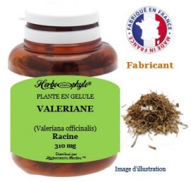 Plante en gélule - Valèriane (valeriana officinalis) racine (310 mg) - pot 120 gélules - Herbo-phyto® - Herboristerie Bardou™