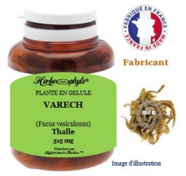 Plante en gélule - Varech vesiculeux (fucus vesiculosus) thalle (515 mg) - pot 60 gélules - Herbo-phyto® - Herboristerie Bardou™