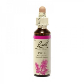Fleur de bach - Pine (pinus sylvestris)(pin sylvestre) - Flacon 20 ml - Bach original® - Herboristerie Bardou™ 