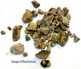 Plante en vrac - Pivoine (paeonia officinalis) racine - Herbo-phyto - Herboristerie Bardou™ 
