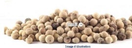 Plante en vrac - Poivre blanc (piper nigrum) grain - Herbo-phyto - Herboristerie Bardou™ 