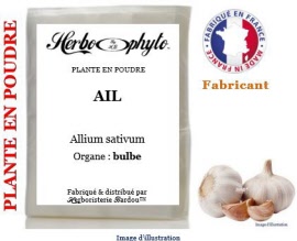 Plante en poudre - Ail (allium sativum) bulbe poudre - sachet 100 g - Herbo-phyto® - Herboristerie Bardou™