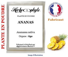 Plante en poudre - Ananas (ananassa sativa) tige poudre - sachet 100 g - Herbo-phyto® - Herboristerie Bardou™