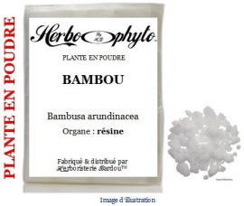 Plante en poudre - Bambou (bambusa arundinacea) résine poudre - sachet 100 g - Herbo-phyto® - Herboristerie Bardou™