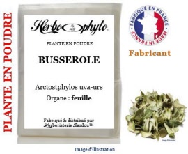 Plante en poudre - Busserole (arctostaphylos uva-ursi) feuille poudre - sachet 100 g - Herbo-phyto® - Herboristerie Bardou™