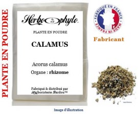 Plante en poudre - Calamus (acorus calamus var americanus) rhizome poudre - sachet 100 g - Herbo-phyto® - Herboristerie Bardou™