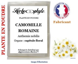 Plante en poudre - Camomille romaine (anthemis nobilis) capitule floral poudre - sachet 100 g - Herbo-phyto® - Herboristerie Bardou™
