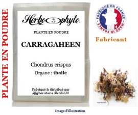 Plante en poudre - Carragaheen (chondrus crispus) thalle poudre - sachet 100 g - Herbo-phyto® - Herboristerie Bardou™