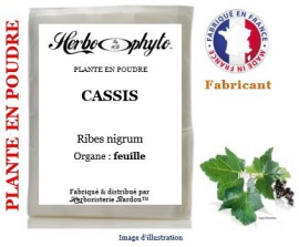 Plante en poudre - Cassis (ribes nigrum) feuille poudre - sachet 100 g - Herbo-phyto® - Herboristerie Bardou™