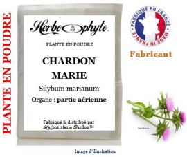 Plante en poudre - Chardon marie (silybum marianum) partie aérienne poudre - Herbo-phyto® - Herboristerie Bardou™