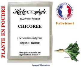 Plante en poudre - Chicorée (cichorium intybus var sativa) racine poudre - sachet 100 g - Herbo-phyto® - Herboristerie Bardou™