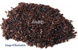 Plante en vrac - Psyllium noir (plantago psyllium) graine - Herbo-phyto - Herboristerie Bardou™ 