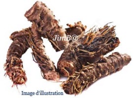 Plante en vrac - Rhodiole (rhodiola rosea) racine - Herbo-phyto - Herboristerie Bardou™ 