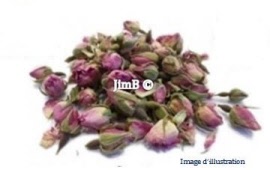 Plante en vrac - Rose de provins (rosa gallica) bouton floral - Herbo-phyto - Herboristerie Bardou™ 