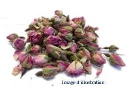 Plante en vrac - Plante en vrac - Rose pale (rosa centifolia) bouton floral  - Herbo-phyto - Herboristerie Bardou™ 