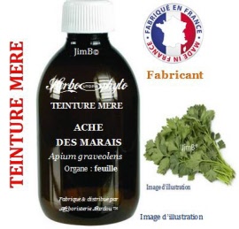 Teintures mères - Ache des marais (apium graveolens var graveolens) feuille - flacon 1 litre - Herbo-phyto - Herboristerie Bardou™ 