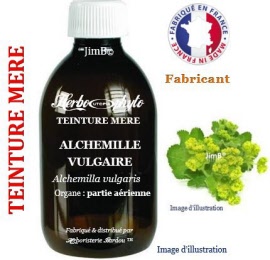 Teinture mère - Alchemille vulgaire (alchemilla vulgaris) partie aérienne - flacon 250 ml - Herbo-phyto - Herboristerie Bardou™ 
