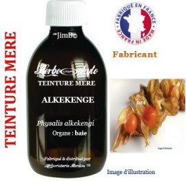 Teinture mère - Alkekenge (physalis alkekengi) baie - flacon 125 ml - Herbo-phyto - Herboristerie Bardou™ 