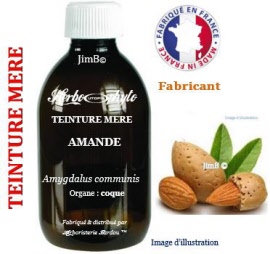 Teinture mère - Amandier (amygdalus communis) coque de fruit - flacon 125 ml - Herbo-phyto - Herboristerie Bardou™ 