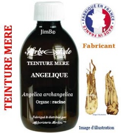 Teinture mère - Angélique (angelica archangelica) racine - flacon 500 ml - Herbo-phyto - Herboristerie Bardou™