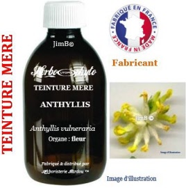 Teinture mère - Anthyllis (anthyllis vulneraria) fleur - flacon 60 ml - Herbo-phyto - Herboristerie Bardou™ 