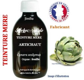 Teinture mère - Artichaut (cynara scolymus) feuille - flacon 125 ml - Herbo-phyto - Herboristerie Bardou™ 