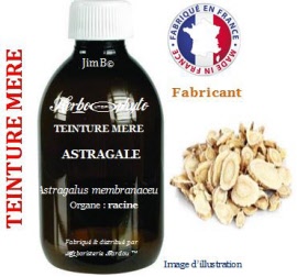 Teinture mère - Astragale (astragalus membranaceus) racine - flacon 500 ml - Herbo-phyto - Herboristerie Bardou™ 