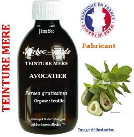Teinture mère - Avocatier (persea gratissima) feuille - flacon 500 ml - Herbo-phyto - Herboristerie Bardou™ 