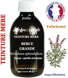 Teinture mère - Berce grande (heracleum sphondylium) partie aérienne - flacon 1 litre- Herbo-phyto - Herboristerie Bardou™ 