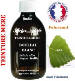 Teinture mère - Bouleau (betula alba) feuille - flacon 125 ml - Herbo-phyto - Herboristerie Bardou™ 