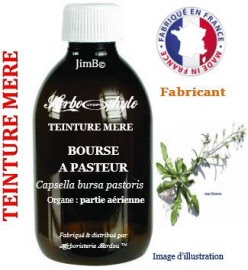 Teinture mère - Bourse a pasteur (capsella bursa pastoris) partie aérienne - flacon 60 ml - Herbo-phyto - Herboristerie Bardou™ 