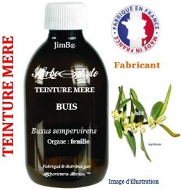Teinture mère - Buis (buxus sempervirens) feuille - flacon 60 ml - Herbo-phyto - Herboristerie Bardou™ 
