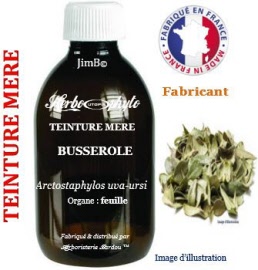 Teinture mère - Busserole (arctostaphylos uva-ursi) feuille - flacon 125 ml - Herbo-phyto - Herboristerie Bardou™ 