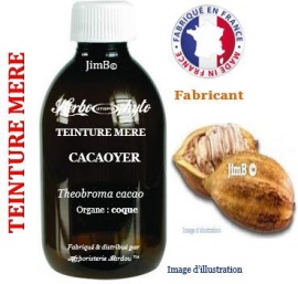 Teinture mère - Cacaoyer (theobroma cacao) coque - flacon 500 ml - Herbo-phyto - Herboristerie Bardou™ 