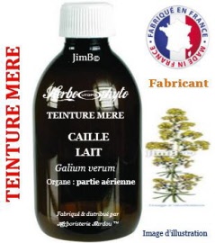 Teinture mère - Caille lait (galium verum) partie aérienne - flacon 250 ml - Herbo-phyto - Herboristerie Bardou™ 