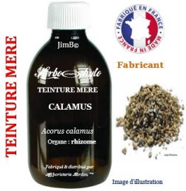 Teinture mère - Calamus (acorus calamus var americanus) rhizome - flacon 1 litre- Herbo-phyto - Herboristerie Bardou™ 