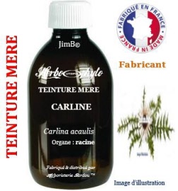 Teinture mère - Carline (carlina acaulis) racine - flacon 125 ml - Herbo-phyto - Herboristerie Bardou™ 