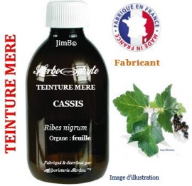 Teinture mère - Cassis (ribes nigrum) feuille - flacon 60 ml - Herbo-phyto - Herboristerie Bardou™ 