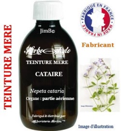 Teinture mère - Cataire (nepeta cataria) partie aérienne - flacon 1 litre - Herbo-phyto - Herboristerie Bardou™ 
