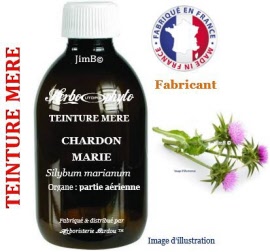 Teinture mère - Chardon marie (silybum marianum) partie aérienne - flacon 60 ml - Herbo-phyto - Herboristerie Bardou™ 