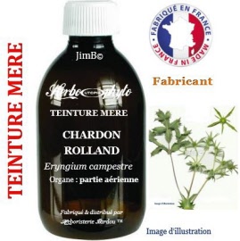 Teinture mère - Chardon rolland (eryngium campestre) partie aérienne - flacon 60 ml - Herbo-phyto - Herboristerie Bardou™ 