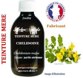 Teinture mère - Chélidoine (chelidonium majus) partie aérienne - flacon 125 ml - Herbo-phyto - Herboristerie Bardou™ 