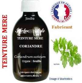 Teinture mère - Coriandre (coriandrum sativum) feuille - flacon 500 ml - Herbo-phyto - Herboristerie Bardou™ 