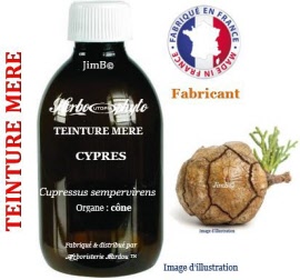 Teinture mère - Cyprès (cupressus sempervirens) cone (noix) - flacon 250 ml - Herbo-phyto - Herboristerie Bardou™ 