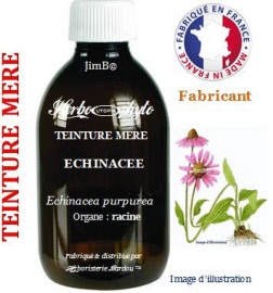 Teinture mère - Echinacée (echinacea purpurea) racine - flacon 125 ml - Herbo-phyto - Herboristerie Bardou™ 